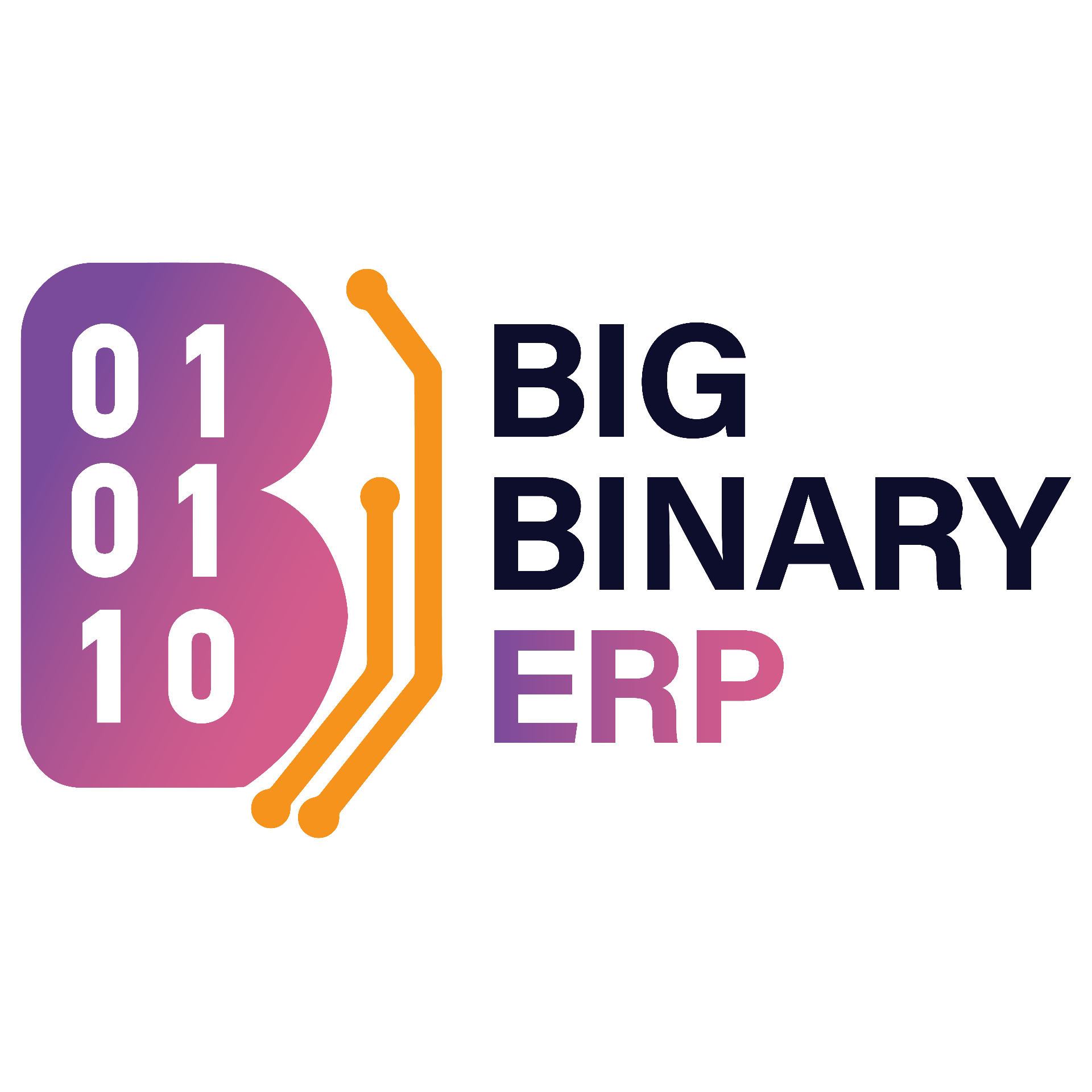 Big Binary ERP